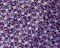 Purple-Black-Multi Poly Floral Printed Dobby Chiffon Woven Fabric By the Yard